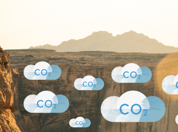 Visualizing How Much CO2 We Really Emit - It pays to go green!